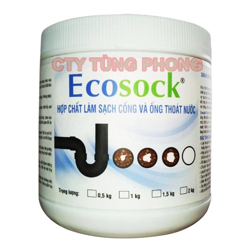 ECOSOCK